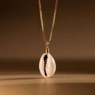 Kauri Muschel Kette in Gold: echte Kaurimuschel an feiner Box Chain