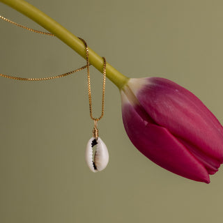 Kauri Muschelkette an einem Tulpenstiel vor grünem Hintergrund