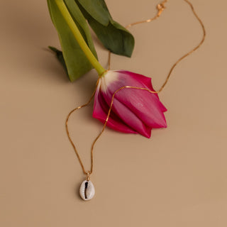 Goldene Muschelkette mit Kaurimuschel neben einer pinken Tulpe