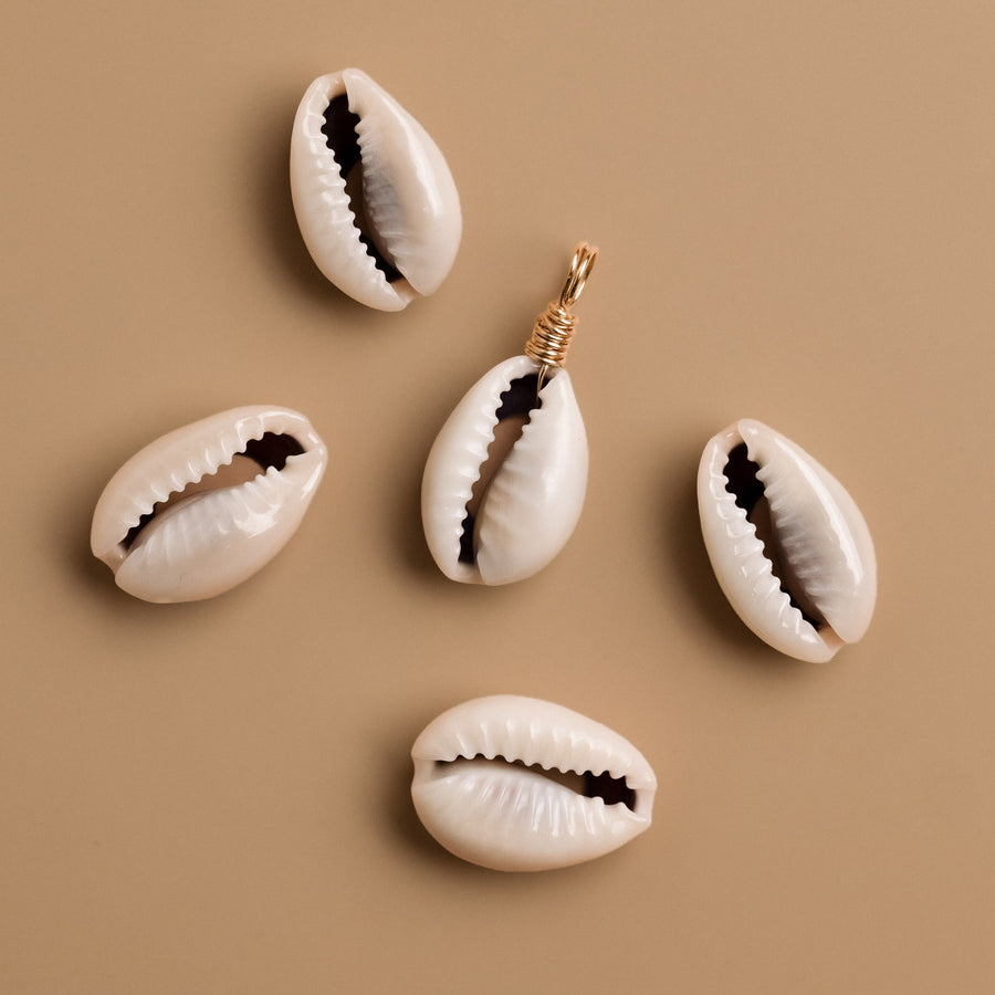 Kauri Muschel Kette