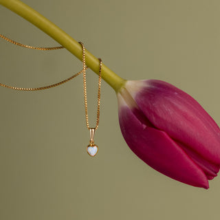 Opal Kette an einem Tulpenstiel vor grünem Hintergrund