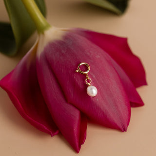 Ovale Perle Charm in Gold: kleine Süßwasserperle mit Federring auf einer pinken Tulpe