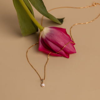 Feine Goldkette mit ovaler Perle neben einer pinken Tulpe
