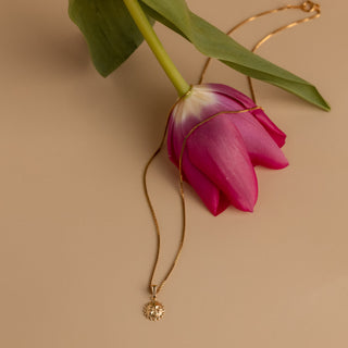 Goldene Sonnenkette neben einer pinken Tulpe