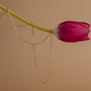 Goldene Box Chain in Schlaufen über dem Stiel einer pinken Tulpe