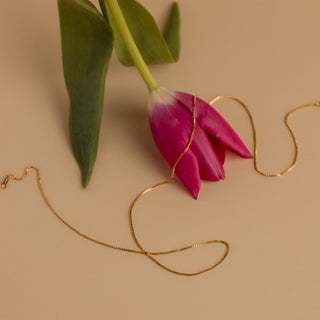 Goldene Venezianerkette in ganzer Länge mit Verschluss neben einer pinken Tulpe